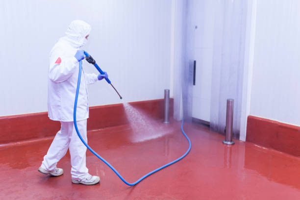 Reliable Bloomville, OH Pressure Washing Services Solutions